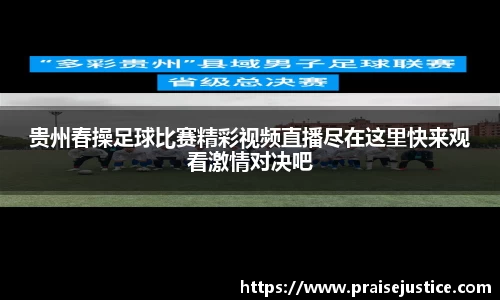 球速体育网站