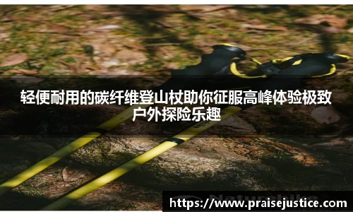 球速体育全站