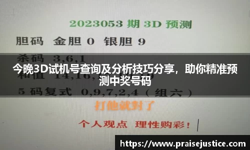 球速体育网站