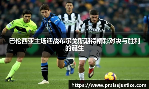 球速体育官方网址