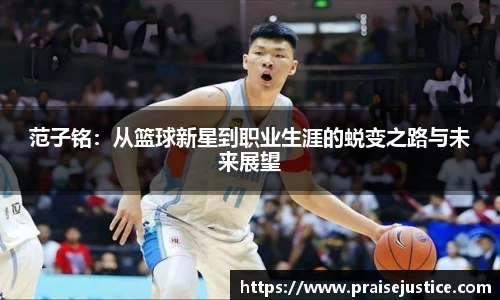 球速体育官方网址